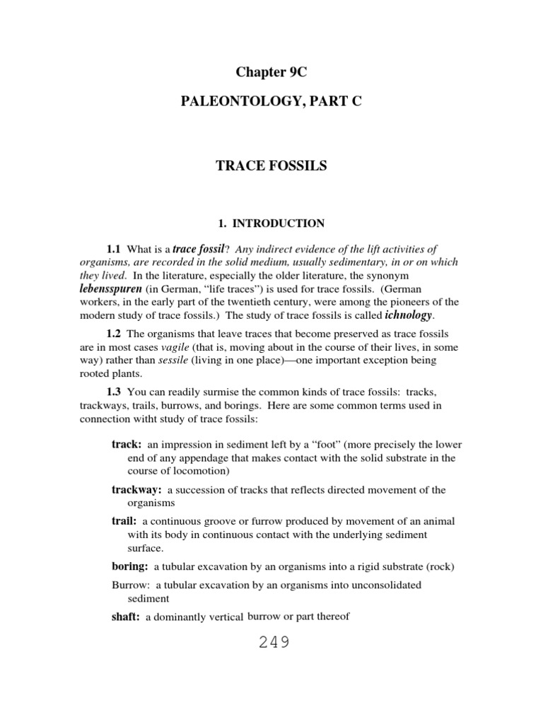 Chapter 9c Paleontology, Part c Fossil Paleontology