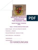 Kerja Khusus Geografi (PMR)