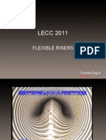 Flexible Risers PDF