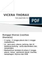 Rongga Thorax