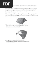 Download BERBAGAI BENTUK PARUH DAN KAKI UNGGAS SERTA FUNGSINYAdocx by Wage-man Cool SN182270421 doc pdf