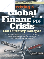 Surviving A Global Financial Crisis and Currency Collapse PDF