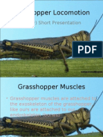 Grasshopper Locomotion