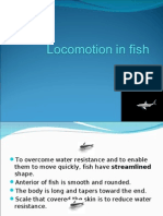 Locomotion in Fish2