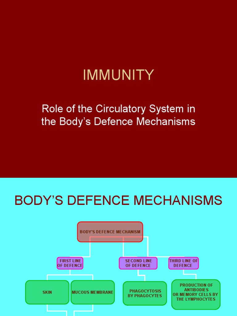 Role of the Circulatory System in the Body’s Defence Mechanisms