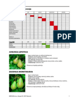 Katalog SADIK Hruske