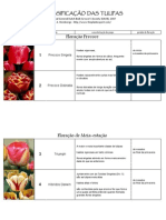 Classificação Das Tulipas