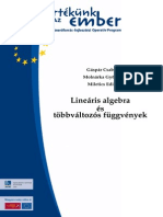 Lineáris Algebra Jegyzet 2 PDF