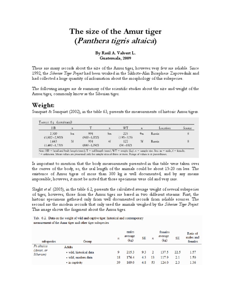 The Size of The Amur Tiger PDF Mammals Of Asia Tiger