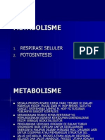 METABOLISME (Respirasi)