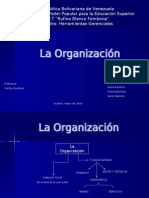 La Organización