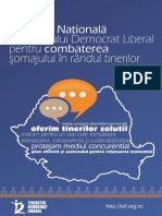 Strategia Nationala a TDL.pdf