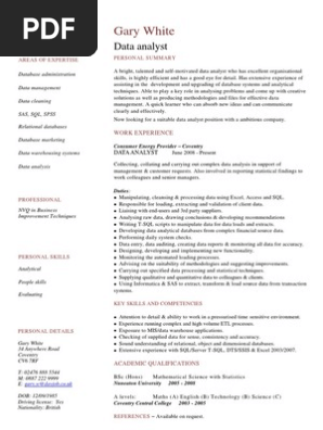 Data Analyst CV Template