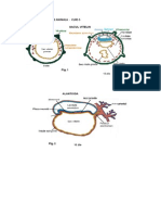 Histologie si embriologie animala - Imagini curs 5.pdf