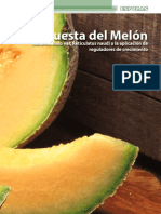 Ayala-Et-Al.2012.Repuesta Del Melon A Reguladores de Crecimiento