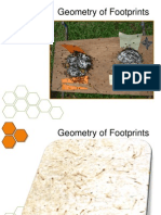 Bee Footprints are Fractals (Geometry)