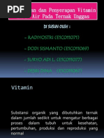 Download Pencernaan dan Penyerapan Vitamin Larut Air Pada Ternak Unggaspptx by Radiyos Tri SN182348385 doc pdf