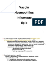 7Hib-Vaccinuriprint-Gabi.pdf