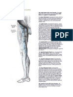 The Lymphatics of the Lower Extremity