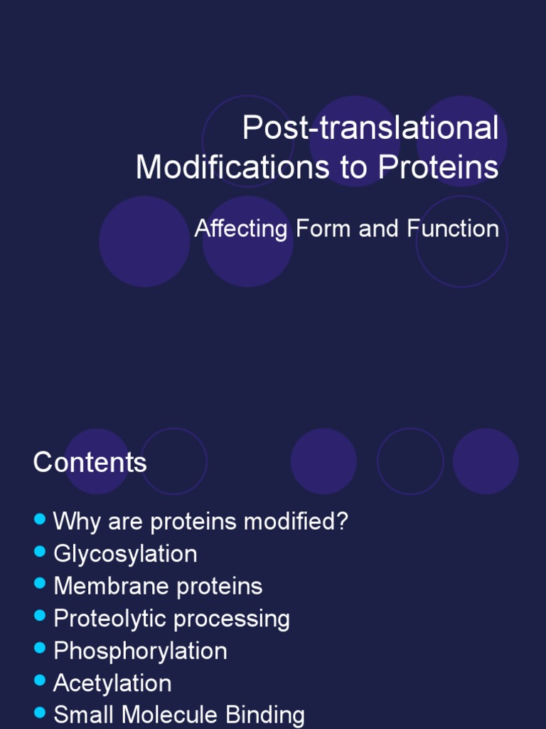 Post-Translational Modifications Overview | PDF