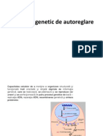 Sistemul genetic de autoreglare.pptx