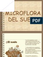 microsuelo1.pptx