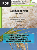 Aula 10-Colheita Secagem Beneficiamento
