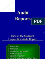 Auditors Report PDF