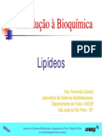 Aula Lipideos 3