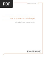 Cash Budget PDF