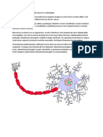 Tesutul Nervos & Neuronul (Schema)