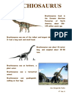Brachiosaurus: Ana Margarida Pedra 4º Ano A