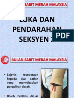 Luka Dan Pendarahan - Seksyen 2