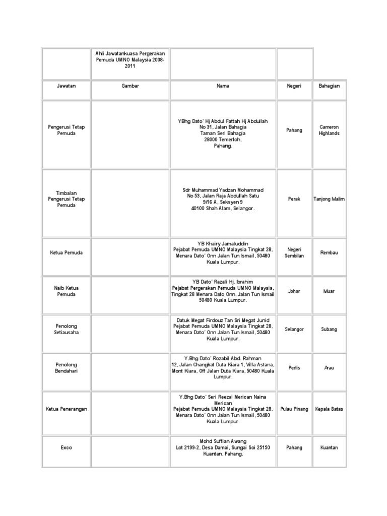 Ahli Jawatankuasa Pergerakan Pemuda UMNO Malaysia 2008  PDF