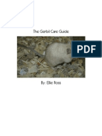 The Gerbil Care Guide PDF