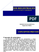 PRINCIPIOS REGISTRALES2