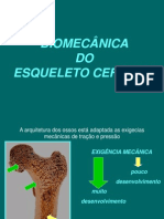 Biomecanica Do Esqueleto Cefalico