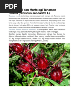 Download Klasifikasi Dan Morfologi Tanaman Rosella by Rian Ardiansyah SN182661250 doc pdf
