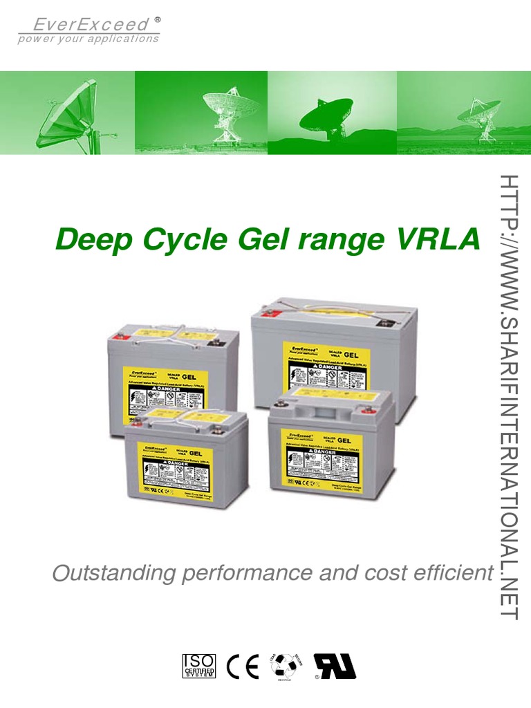 Everexceed Deep Cycle Gel Range Battery (Electricity) Battery Charger