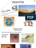 12 mosquitos 2013(2)