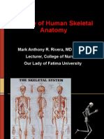 Lecture 7 - Musculoskeletal