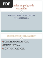 Animales en peligro de extinción