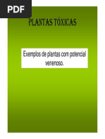 Plantas Venenosas