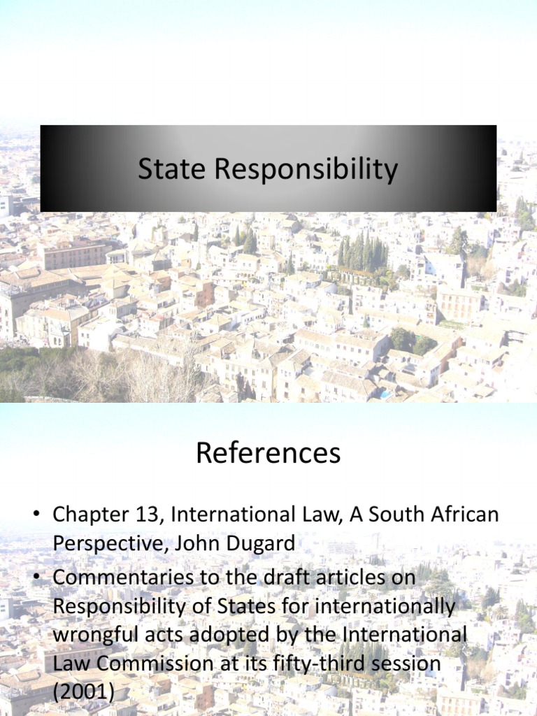 State Responsibility in International Law | PDF | Common Law | Justice