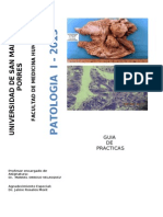 GUIA DE PRACTICA PATOLOGIA I-2013-II.doc