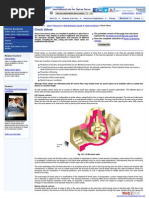 WWW Spiraxsarco Com Check Valve