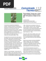 Recomendações tecnicas para o cultivo e epoca de plantio da cultivar de mamoneira BRS 149 (LCSilva)