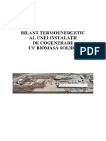 bilant_energetic_cogenerare.pdf