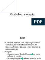 Morfologia Vegetal