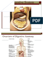 Digestive - PPT BDN